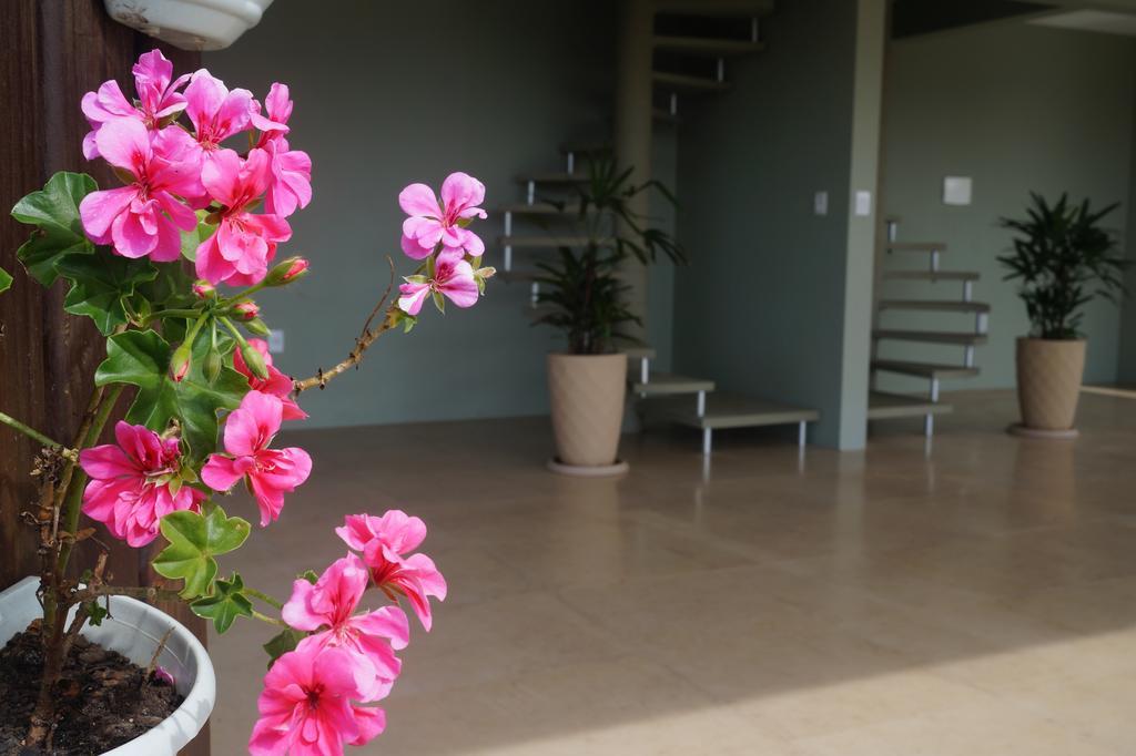 Pdr Suites Praia do Rosa Εξωτερικό φωτογραφία